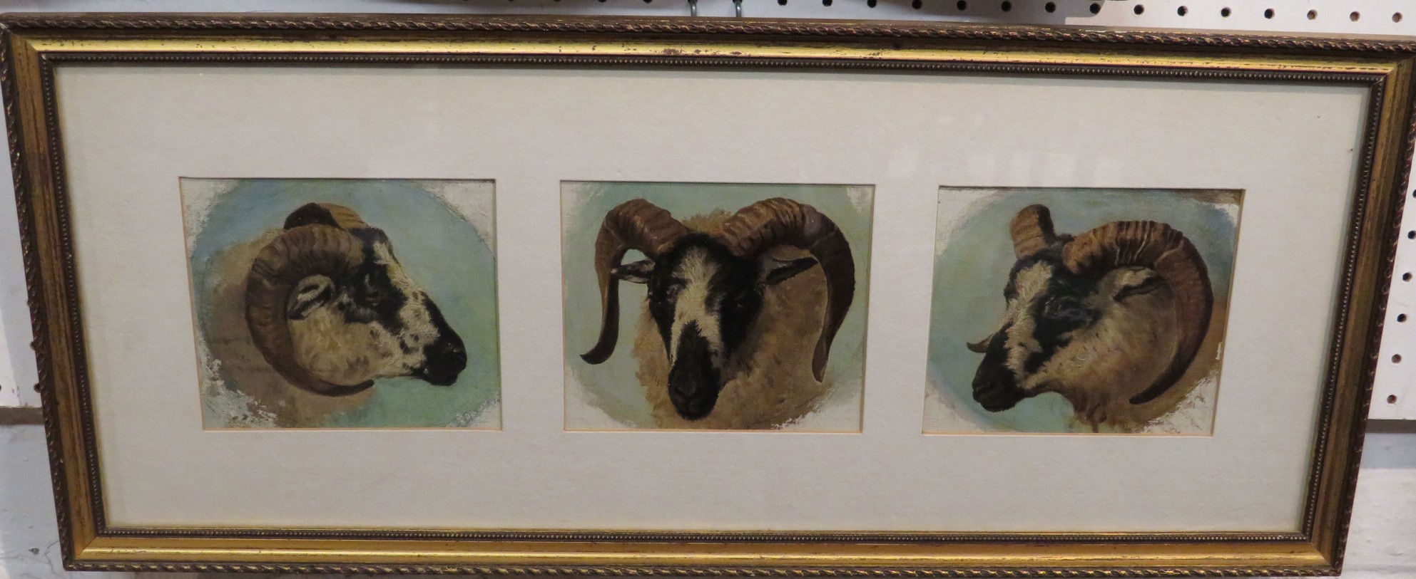 Oil on canvas studies of three rams heads, each 11 x 13, mounted and glazed in a gilt frame (overall