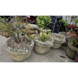 FOUR COMPOSITE STONE TWO HANDLED PLANTERS WITH CONTENTS OF SHRUBS