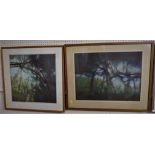 TWO FRAMED AND GLAZED PASTELS - 'OVERGROWN HEDGE' AND 'MARKED TREE IN COPSE', BOTH SINGED AND