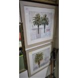PAIR OF FRAMED AND GLAZED COLOUR PRINTS AFTER DAVID SMITH HARRISON OF PALM TREES, 'ROYAL PALM III'