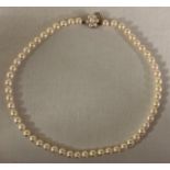 A single-strand necklace of cultured pearls, 9 carat gold clasp with a floret setting of seven