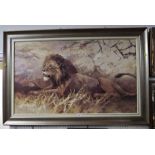 LARGE FRAMED OIL ON CANVAS OF LION, SIGNED LOWER RIGHT