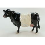 Beswick belted Galloway cow 4113