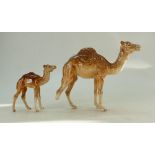 Beswick Camel (damaged) & Beswick Camel Foal