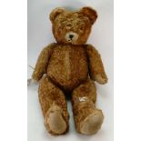 A classic large brown teddy bear with injury to left leg.