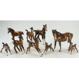 Large brown Beswick Horse and eight Beswick brown Foals. (9).