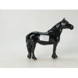 Beswick black Fell Pony 1647