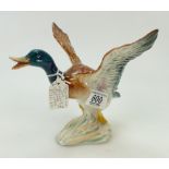 Very early Beswick Mallard Rising 749