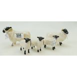 Beswick Black Faced Ram 3071, Ewe 1763,