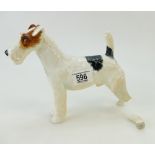 Rare Royal Doulton Rough Haired terrier HN1007 (restuck leg)