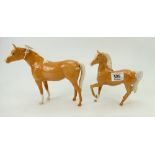 Beswick Palomino Arab 1771(restored ear)