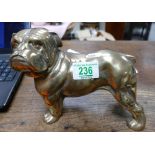 Large heavy brass bulldog orniment