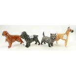 Four Royal Doulton Dogs: Cairn Terrier HN1034, Cocker Spaniel HN1020,