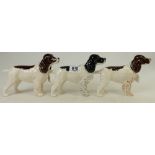 Beswick Cocker Spaniels: Three dgos, two in liver and white, one in black and white.