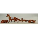 Four Beswick Foxes: Large Fox 1016A, Restored Fox 1440, Curled fox 1017 and matt curled fox 1017.