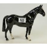 Beswick Horse The Black Hunter: Hunter issued 2005 in a Limited Edition of 500 and boxed with