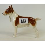 Beswick Bull Terrier 970: Bull terrier has tail damaged but piece present.