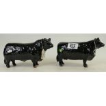 Beswick Bull and Cow: Aberdeen Angus Bull 1562 and Cow 1563.