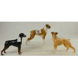 Three Beswick dogs: Beswick Doberman 3121, Boxer D3081 and Boxer 1202.