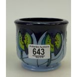 Moorcroft Cinco Jardiniere: Moorcroft Tr