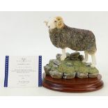 Border Fine Arts Figure 'Herdwick Tup' Bo705: Limited edition figure with box and certificate.