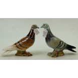 Two Beswick Pigeons: Beswick Pigeons in grey 1383A and brown 1383B.