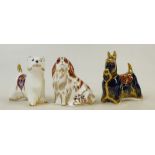 Royal Crown Derby Dog Paperweights: Paperweights to include Scottish Terrier,
