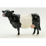 Beswick Belted Galloway Cow: Beswick model number 4113a.
