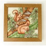 Moorcroft square plaque: Plaque decorated with red squirrels in tree, in wood frame, overall 25.