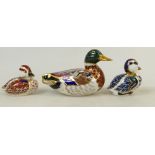 Royal Crown Derby Paperweight Ducks: Paperweights to include Mallard Duck,