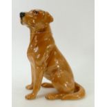 Beswick figure of a large fireside Golden Labrador: Beswick model 2314.