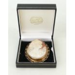 Large oval Cameo brooch: Cameo brooch in 9ct gold mount and pin, gross weight 26grams, h8cm x w6cm.