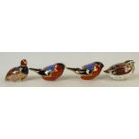 Royal Crown Derby Paperweight Birds: Paperweights to include Bullfinch x 2, Game Bird and Moorhen,