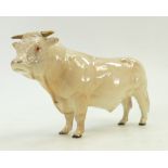 Beswick Charolais Bull: Beswick model 2463A.