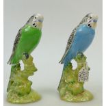 Beswick Budgies:Beswick Green Budgerigar and Blue Budgie both model 1217B.