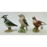 Beswick Birds: Lapwing Beswick model number 2419 first version, Jay 2417 and Kookaburra 1159.