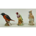 Beswick Birds: Baltimore Oriole 2183 Matt, Cedar Waxwing 2184 and Gouldian Finch 1174.