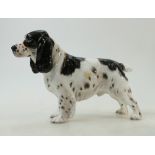 Royal Doulton Spaniel: A large model of a standing Spaniel HN1108.