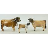 Beswick Jersey family: Beswick family to include Bull 1422, Cow 1345 and Calf 1249D.