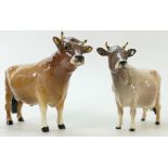 Beswick Jersey Bull 1422 and Cow 1345: Both Bull and Cow with oval backstamp and in unusual light