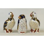 Royal Crown Derby Paperweight Birds: Paperweights to include Puffin x 2 and Rock Hopper Penguin,