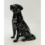 Beswick figure of a large fireside black Labrador dog: Beswick model 2314.