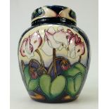 Moorcroft Ginger Jar & Cover RHS Ashwood Gold: Limited edition 99/200 and designed by E.