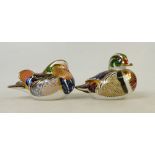 Royal Crown Derby Paperweight Ducks: Paperweights to include Carolina Duck and Mandarin Duck,