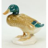 Beswick Mallard squatting: Beswick model number 817.