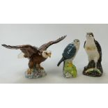 Beswick Bald Eagle 1018: together with Royal Doulton Merlin and Osprey decanters(3)