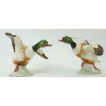 Beswick Shelldrake Duck: Shelldrake Duck (Rising - Beak Closed) 994 x 2