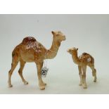 Beswick Camels: Beswick Camel Model 1044 together with a Camel Foal 1043 (A/F).