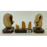 Mounted Whale Ear Bones: together with mounted Whale Teeth with presentation plaque HMS Durban,