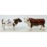 Beswick Polled Hereford Bull 2549A: together with an Ayrshire Bull 1454A (A/F) (2)